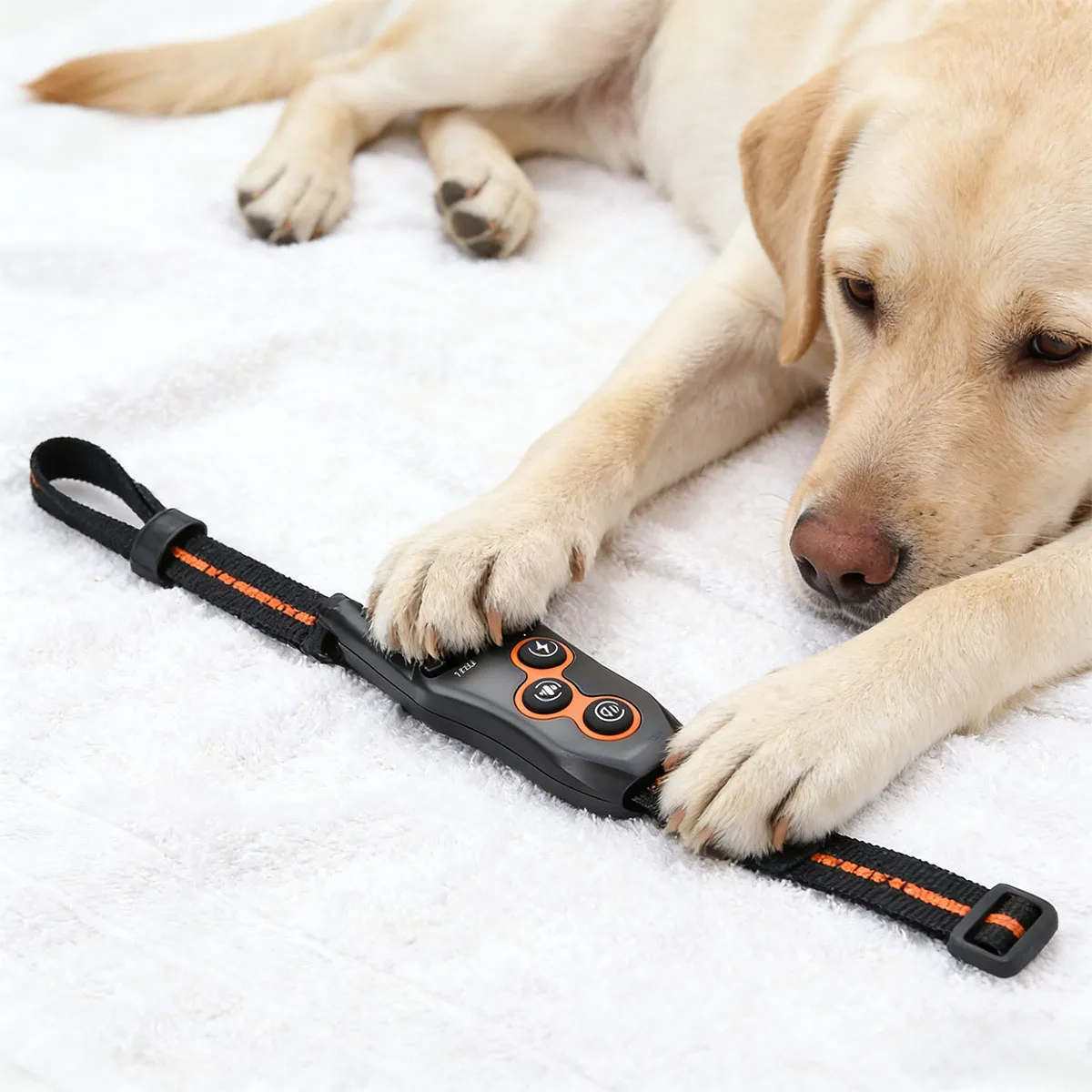 

Dog Training Collar with Remote Dog Collar with 3 Training Modes Rechargeable E Collar for All Breeds 10-120lbs IPX7 Waterproof