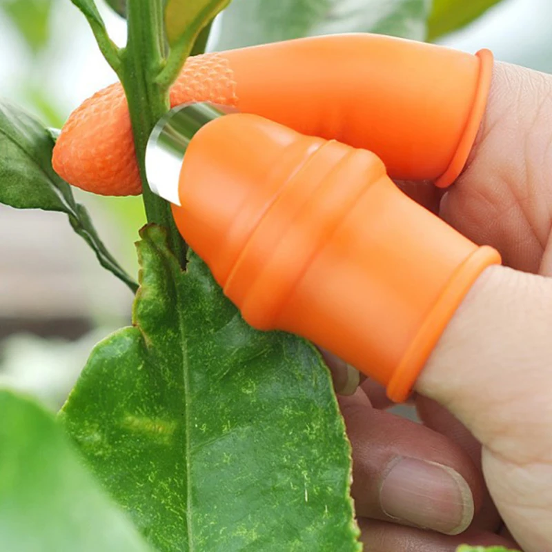 Cortador de polegar ferramentas de jardinagem tesouras de poda jardim colheita planta legumes separador dedo ferramenta multifuncional cortador de cozinha