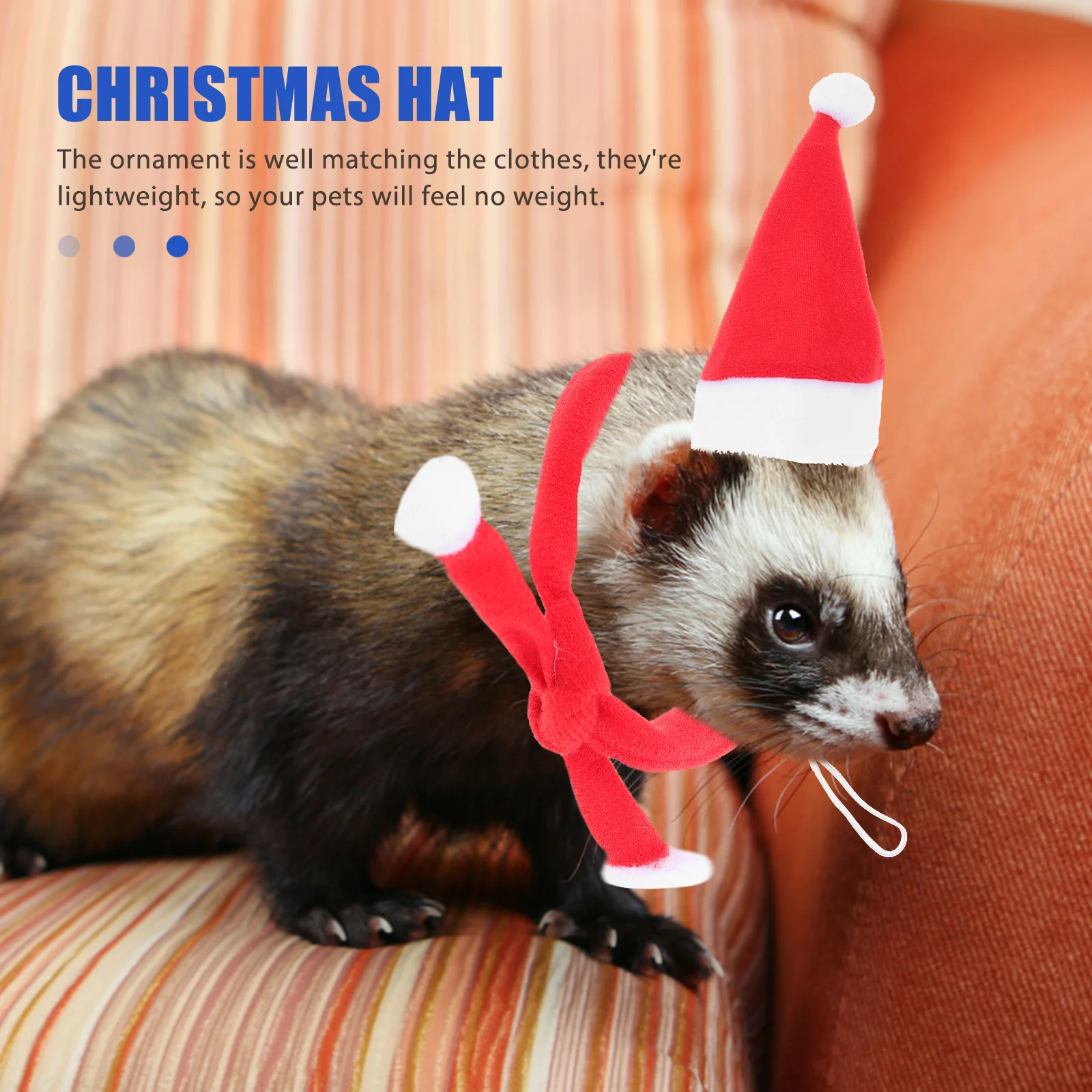 크리스마스 애완동물 모자와 스카프 세트 이미지