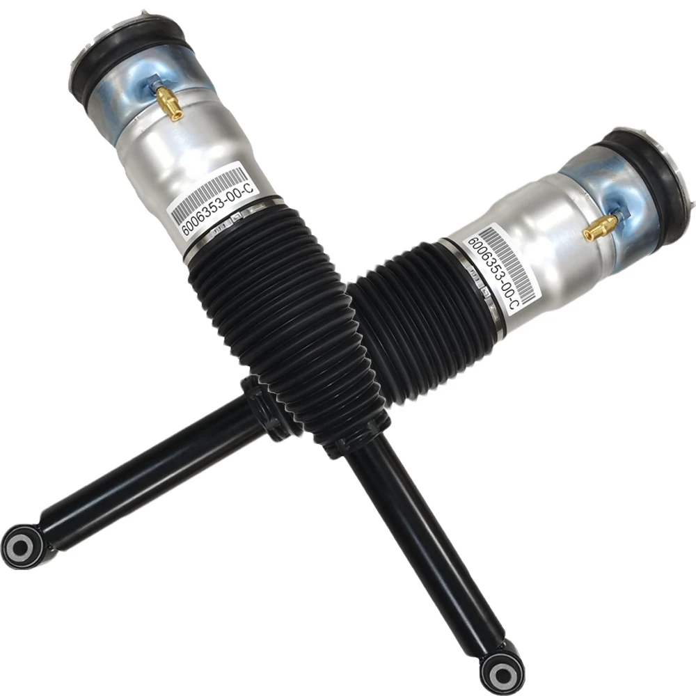 HINTERER LUFT-Stoßdämpfer, passend für TESLA MODEL S (5YJS) 2012–2016, 6006352-00-C