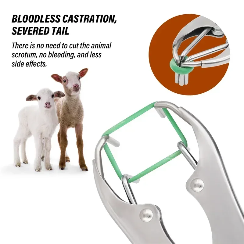 Particulate Rings Removal Pigs Plier Farm Equipment Device Mirror And Sheep Castration Stainless Tail Steel Veterinary Rubber