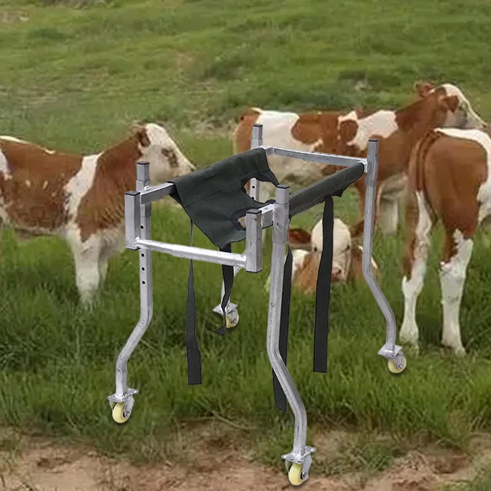 Calf Standing Trolley Stand Convertible Thickened Bovine Recovery Vehicles