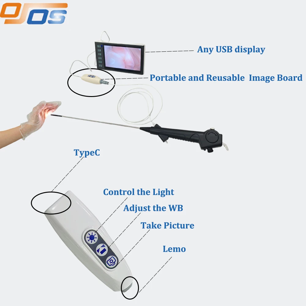 Single-Use Veterinary Endoscope Medical Mini Camera Flexible Brochoscope for Animal Internal Exams Wholesale Endoscope