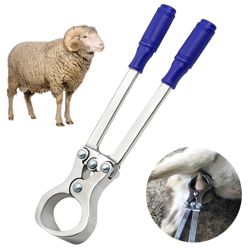 Pinzas Burdizzo de Acero Inoxidable de Alta Calidad, Herramienta de Castración Animal, Pinzas de Castración para Cabras y Ovejas