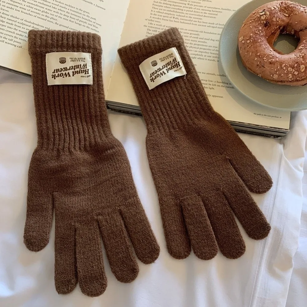 Cozy One Size Full Finger Knitted Gloves Warm Lining 10Colors Warm Winter Gloves Faux Cashmere Gloves Women