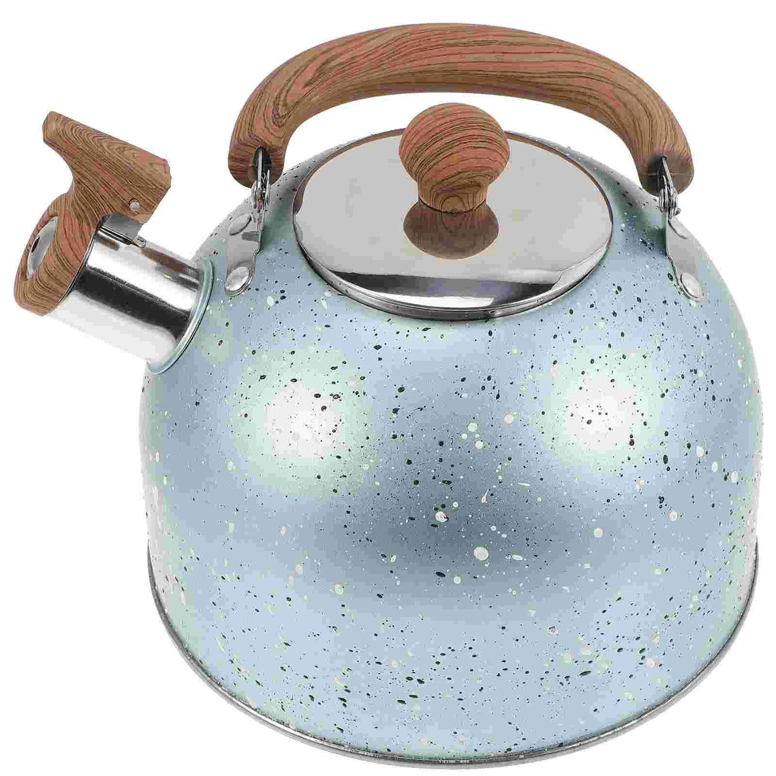 Kettle Metal Water Tea Infuser Practical Convenient Gooseneck Electric Pot Lavender Heating Household