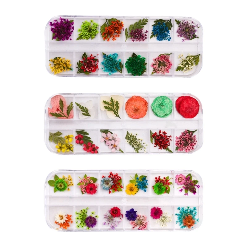 

Dried Plant Art Supplies 3 Pack Assorted Crafting Resin Projects Gift 15UB