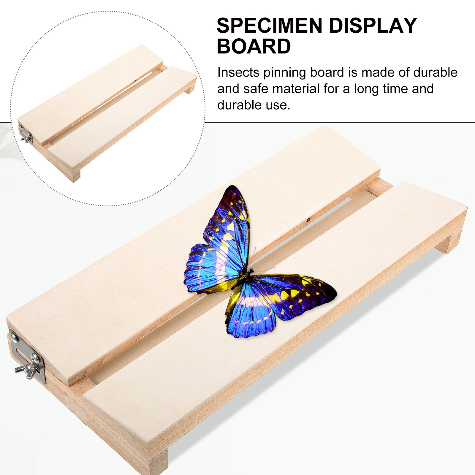 

Butterfly Specimen Tool Wings Display Board Wooden Spreading Insect Pinning Lightweight Portable Teaching Experiment