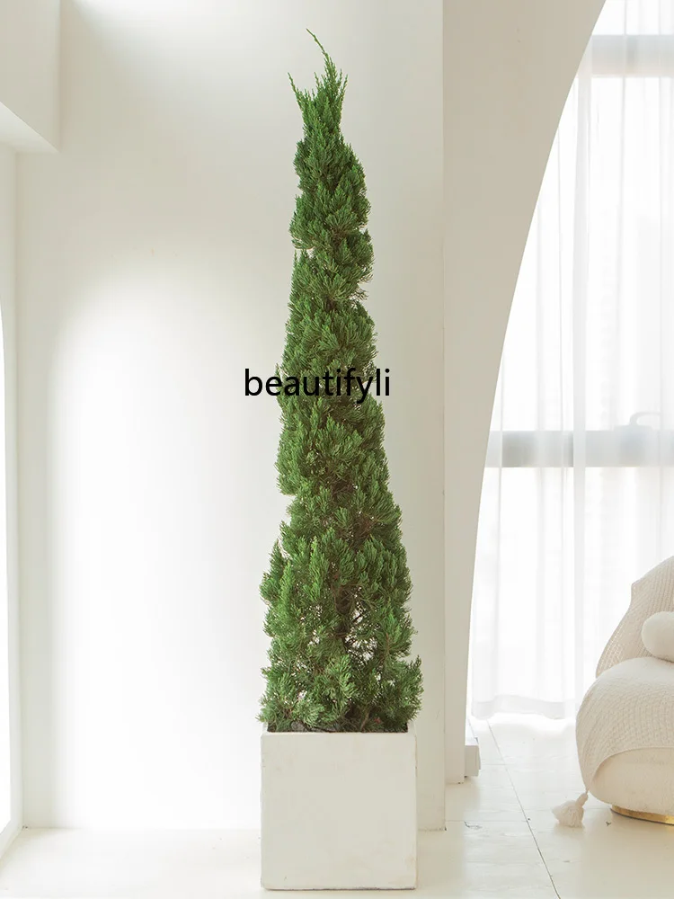 Pine cypress tree Tasong Christmas tree green plant large outdoor garden decoration fake tree