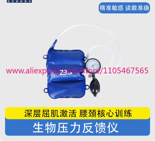 1PCS Biopressure Feedback Instrument Core Evaluation Kang Training Instrument Complex Muscle Activator Cervical and Lumbar Spine