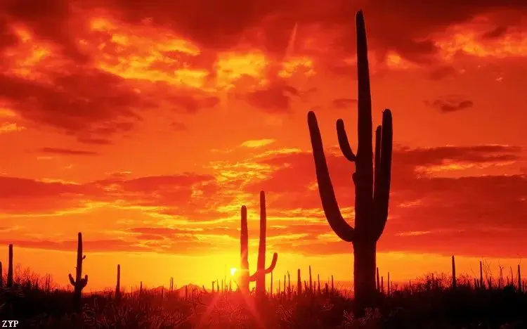 

13.6" Android Car GPS for Toyota Land Cruiser Prado GX470 2002-2010 DVD Player Multimedia Headunit Radio Touchscreen