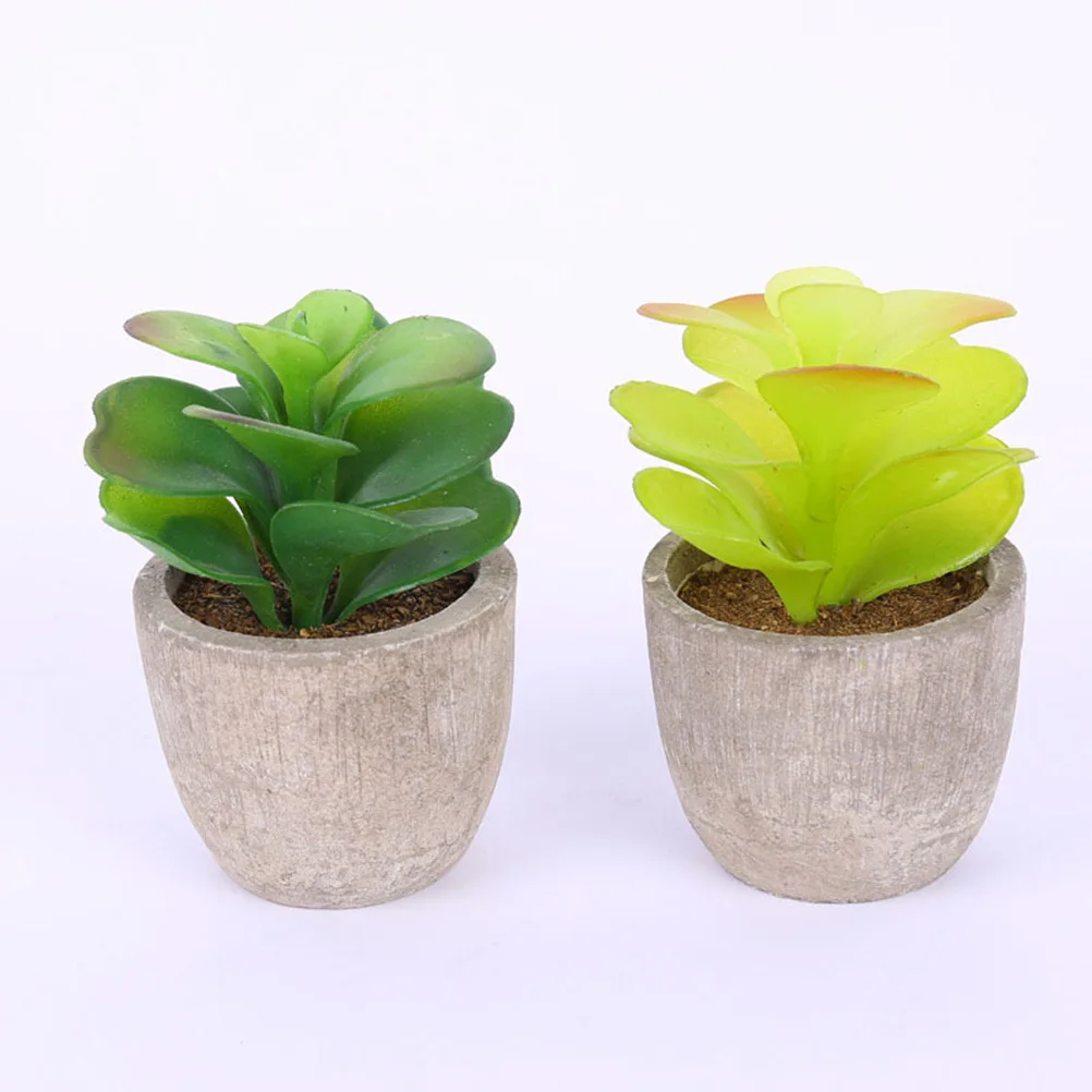 

6pcs Simulative Fleshy Bonsai Creative Simulation Flower Pot For Home Office Decor Small Ornament Plant Potted Succulent Elegant