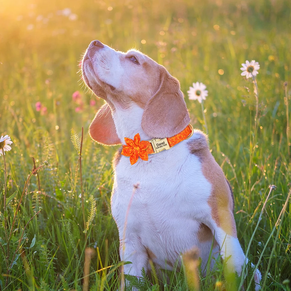 犬用のパーソナライズされたナイロンカラー,花柄,アクセサリー,小型および大型の子犬用のカスタムネックレス