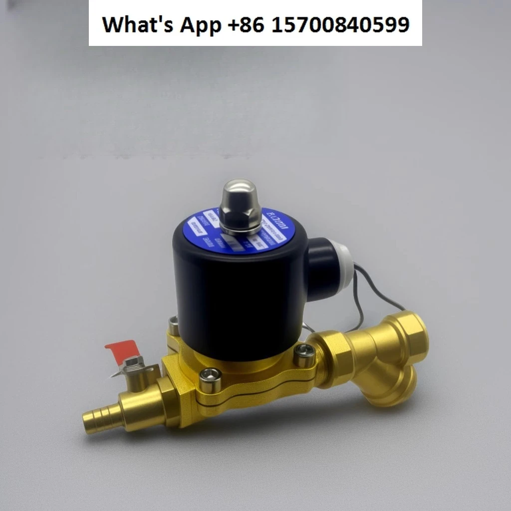 Truck water sprinkler solenoid valve 12V24V filter water tank modified accessories brake water spray valve