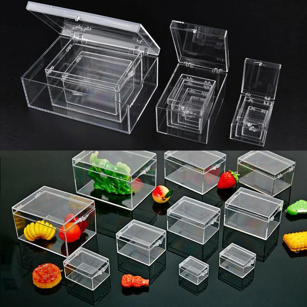 Clear Plastic Box Rectangular Insect Specimen Display Desktop Storage Boxes Dustproof Jewelry Screw Storage Case Container