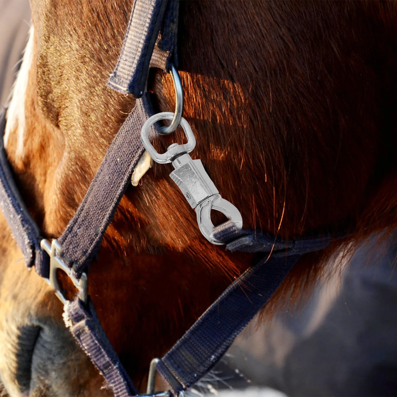 

Quick Release Snap Hook Zinc Alloy Horse Saddle Accessory Strong Locking System for Equestrian Hardware Rope Snap Hook Climbing