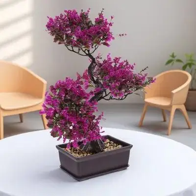 

Искусственные растения в горшках: имитация бонсай, декоративные украшения, имитация зеленых растений для декора дома, офиса, полок и столов