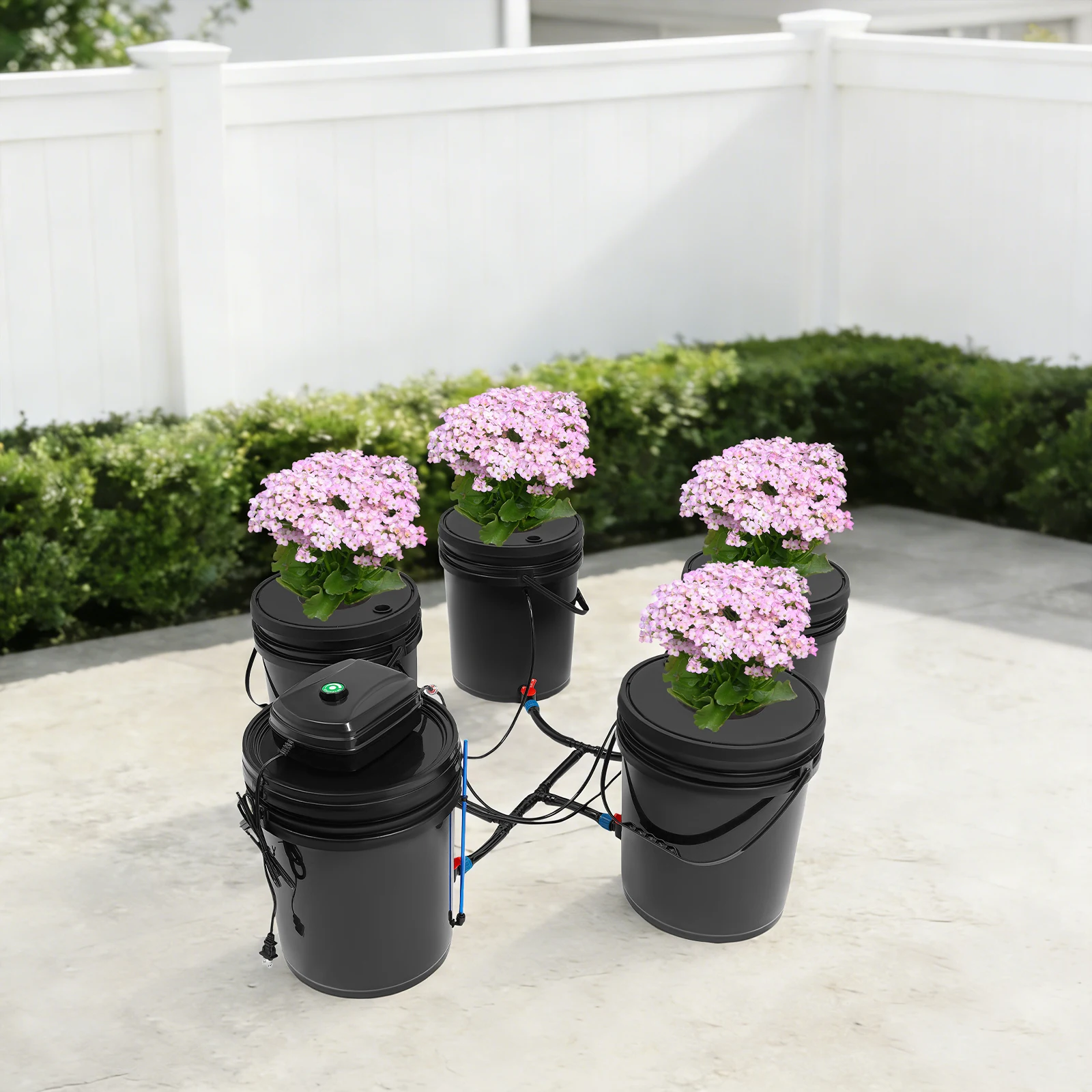 

Hydroponics Growing System Kit 1+4 Round Bucket Hydroponic System with Pump Soil Free Indoor Plant Growing System for Seed Starter
