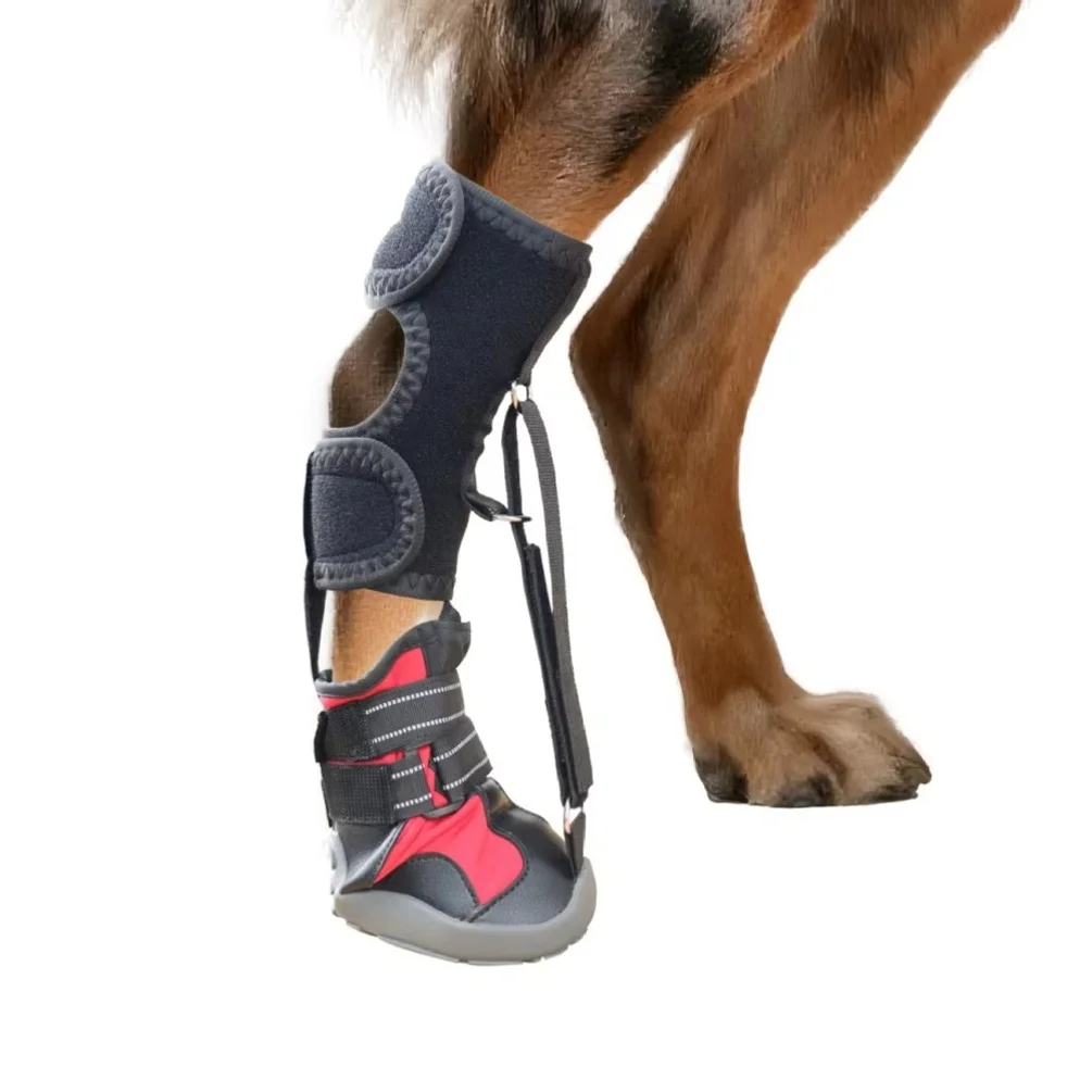 Avec les chaussures correctrices pour chiens Reel, sangles de maintien pour les orteils, attelle pour pied tombant pour chiens, protège-pattes respirants et résistants à l'usure.