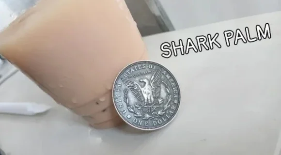 

SHARK PALM от Jonh Louis и JJ Team — Волшебные трюки (Мгновенная загрузка)