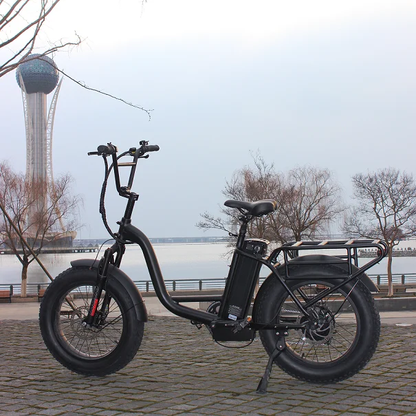 Fat Folding e bike Electric Mountain Bikes Electric Bicycles 2022 China 750 w 1000 w 48 v Mountain E Bike Electric Bicycle