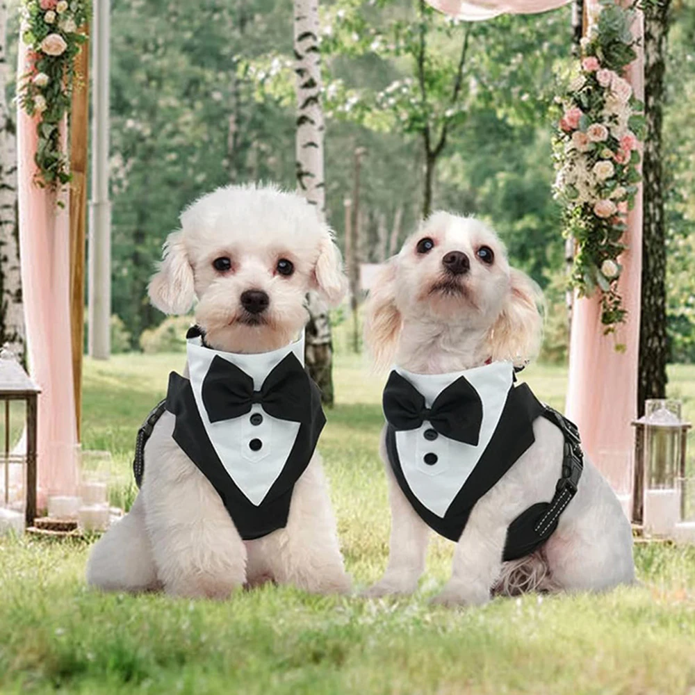 Hochzeits-Hundegeschirr im Smoking-Stil mit Fliege, verstellbare, atmungsaktive Weste mit D-Ring, kein Ziehen, für kleine und mittelgroße Hunde – Detail 17