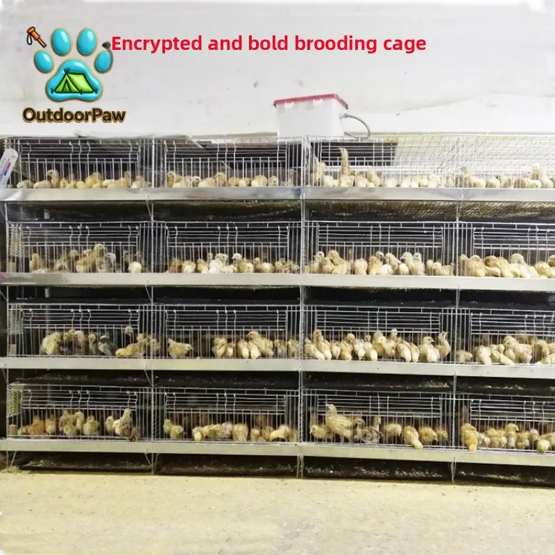High-quality bold encrypted chick cage, small chicken cage, brooding cage 4-layer integrated vertical chicken cage, breeding
