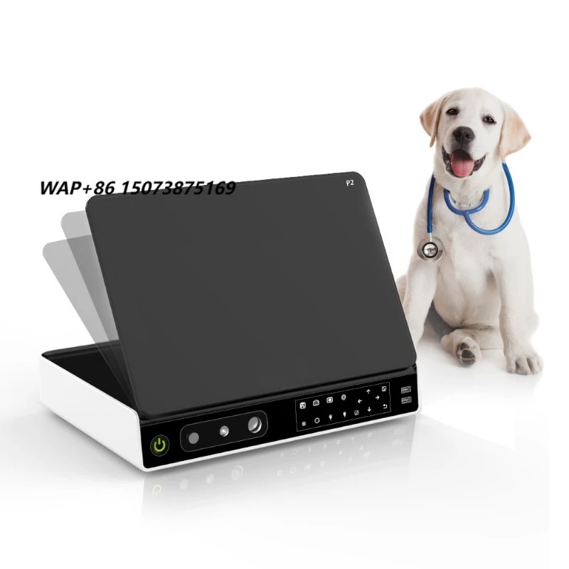 Portable Veterinary Endoscopy System | Integrated Multifunctional Endoscopes for Gastroscopes, Colonoscopes, and Urology