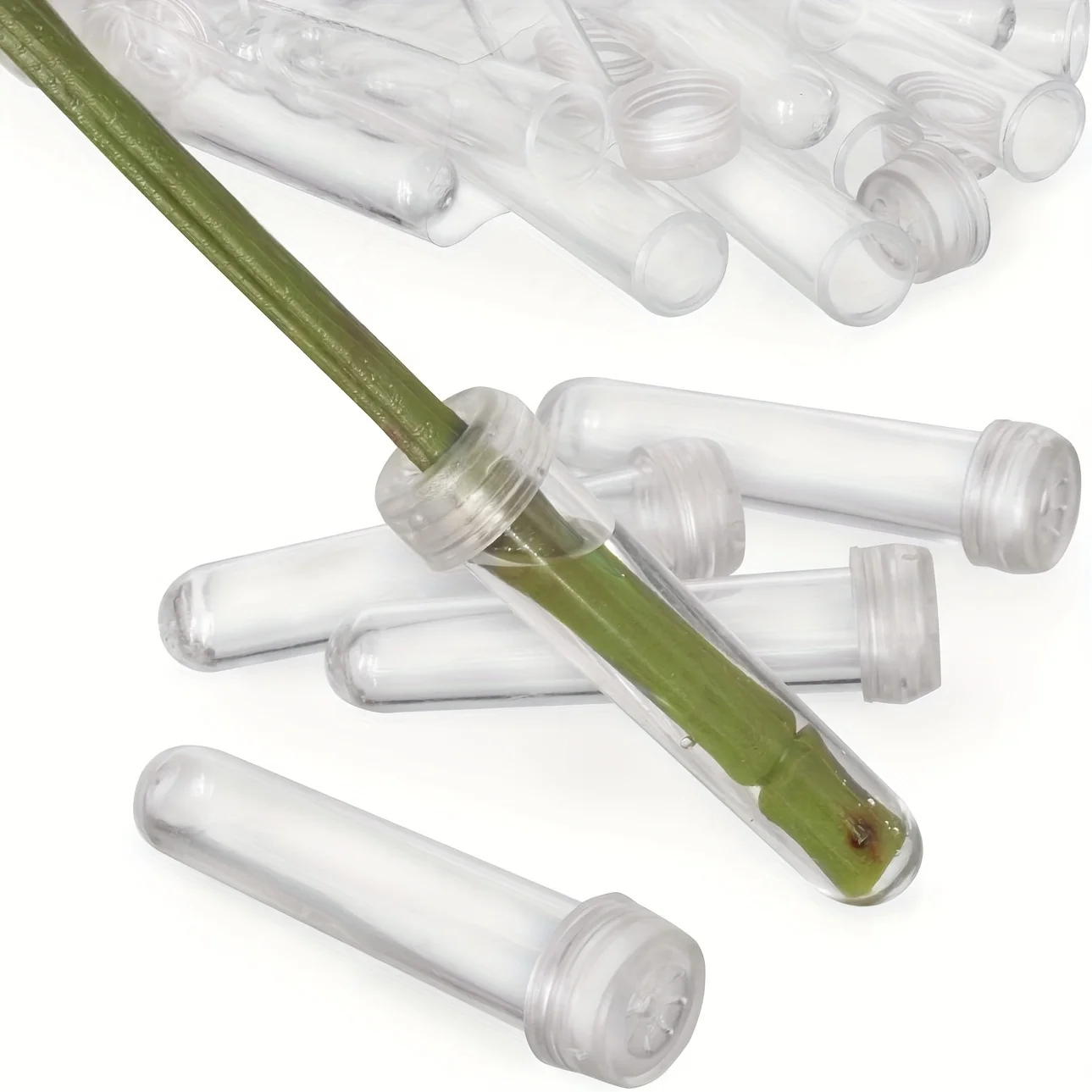 100 Transparent Plastic Flower Tubes with Caps, Measuring 2.8 by 1.78 cm - Ideal for Arranging Flowers And Taking Care of Plants
