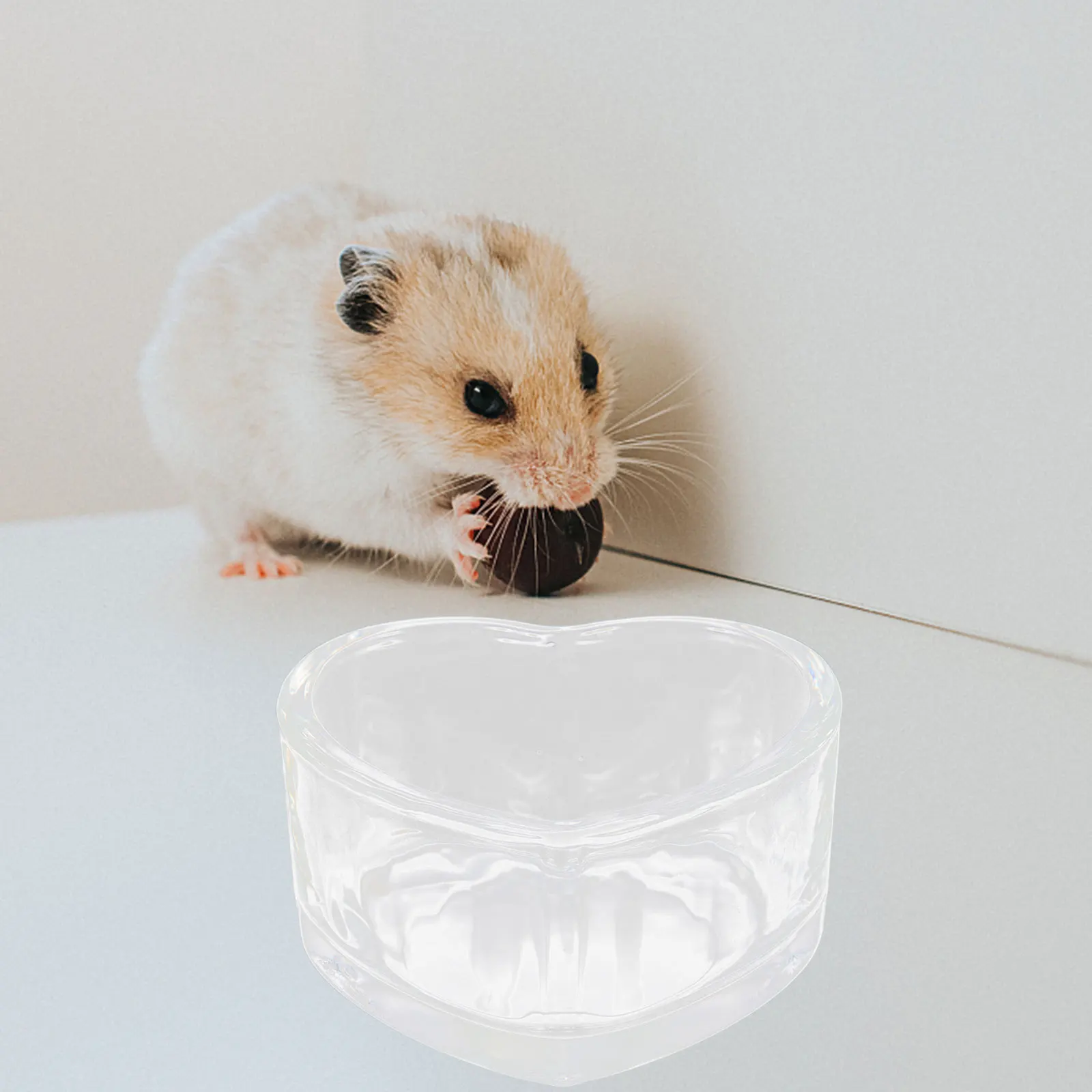 

2Pcs Safe Hamster Water Bowls Transparent Chinchilla Durable Easy Clean Pet Supplies Rat Bowl Household Hamster Water Bowl
