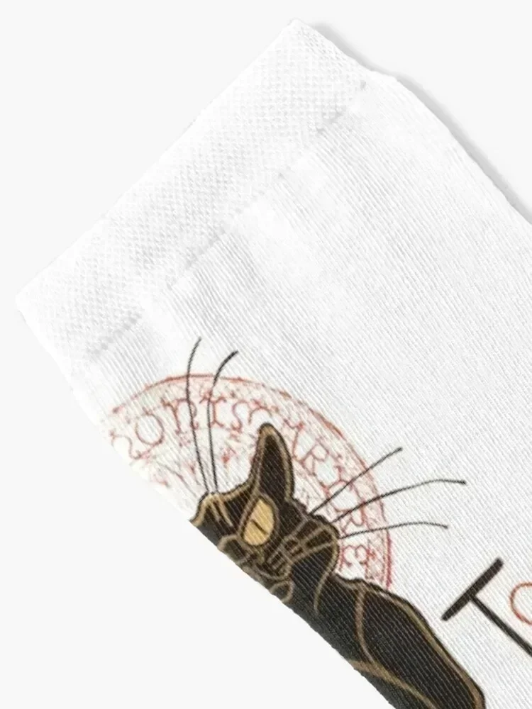 Chat Noir Socks japanese fashion sports stockings golf colored Mens Socks Women's