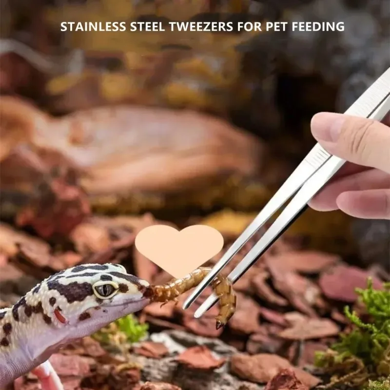 ملقط متعدد الوظائف من الفولاذ  - مراجعة Feeding Tong Stainless وسعره