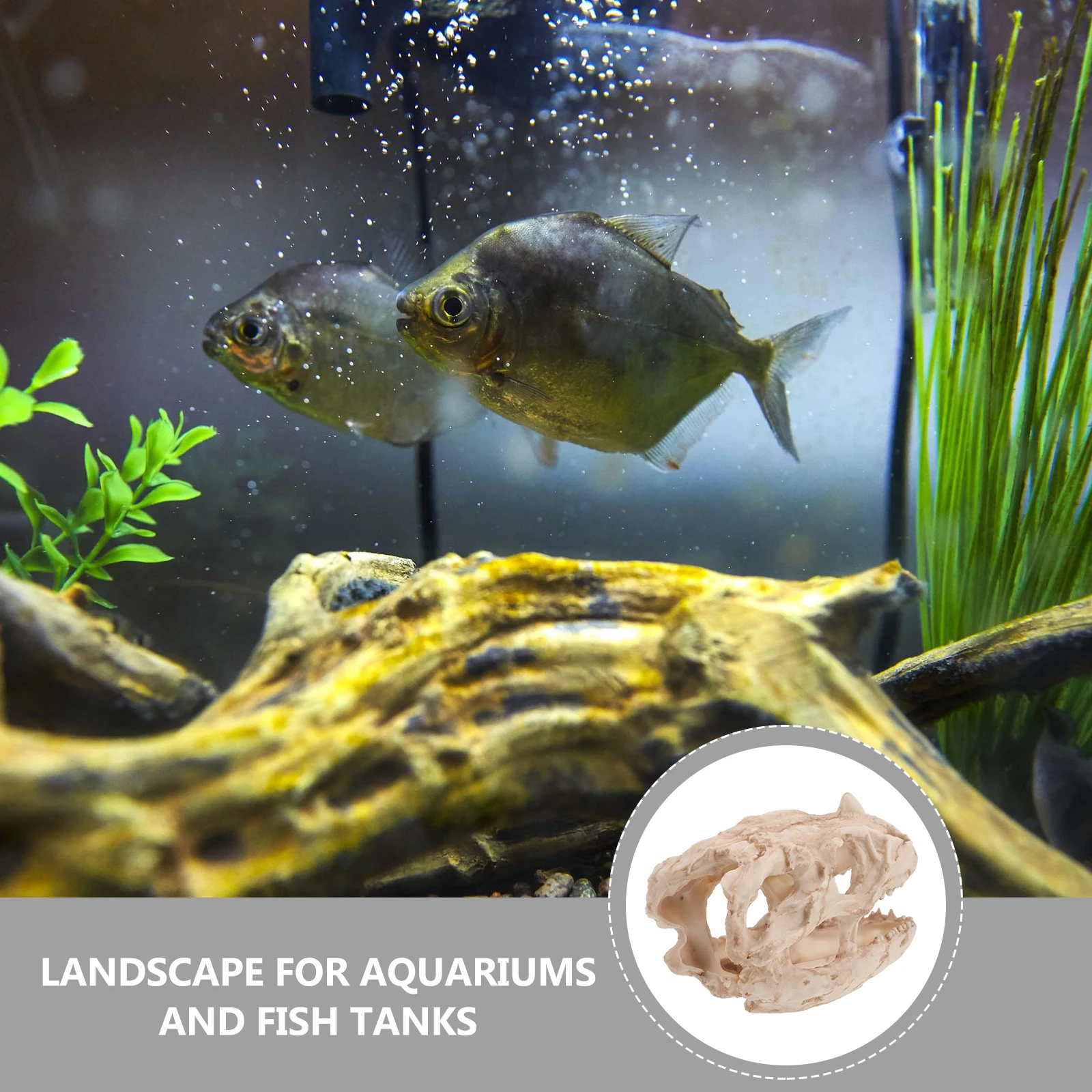 

Decorative Dinosaur Skull Fish Tank Hideout Resin Craft Aquarium L scaping nament Unique Lifelike Easy Clean Long Lasting