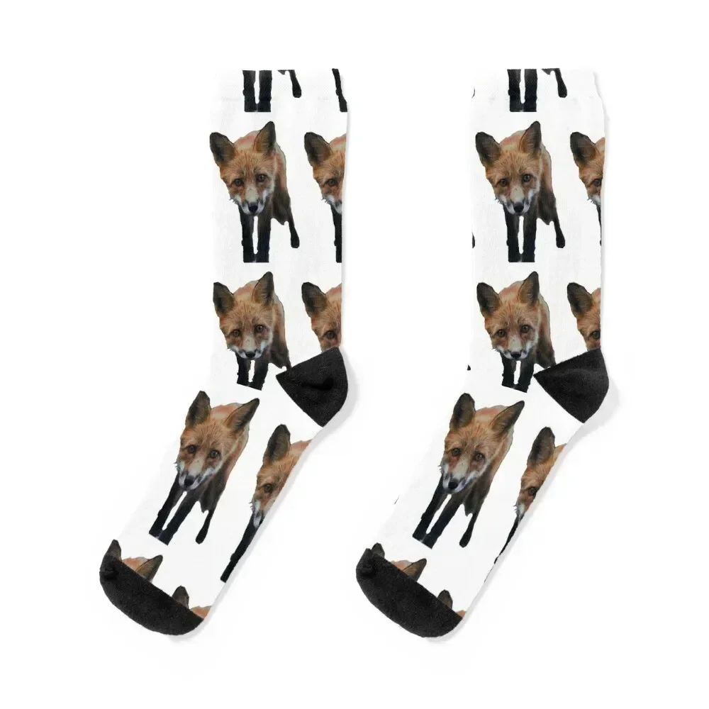 Red Fox 1 Socks set hiphop Socks Female Men's