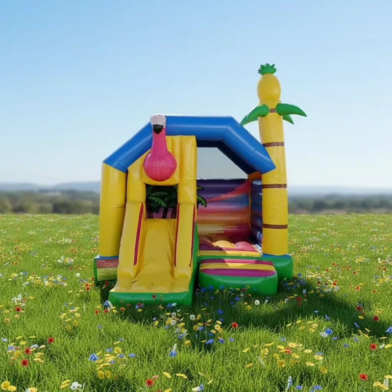 Commercial Inflatable Castle Combo Slide Inflatable Castle with Slide for Rental