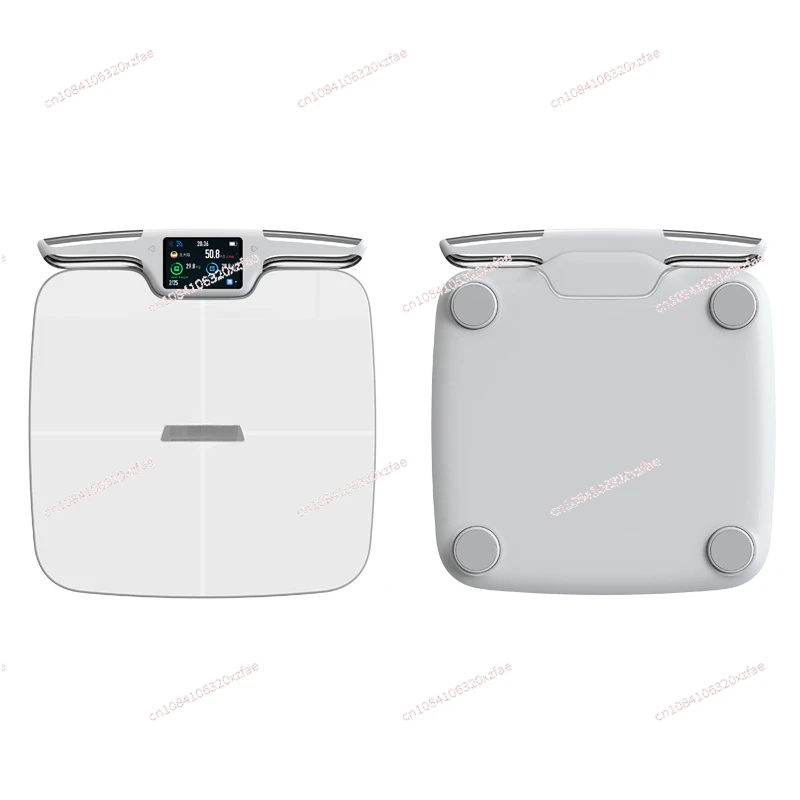 Body fat scale, weight scale, professional intelligent and accurate electronic scale, gym tester