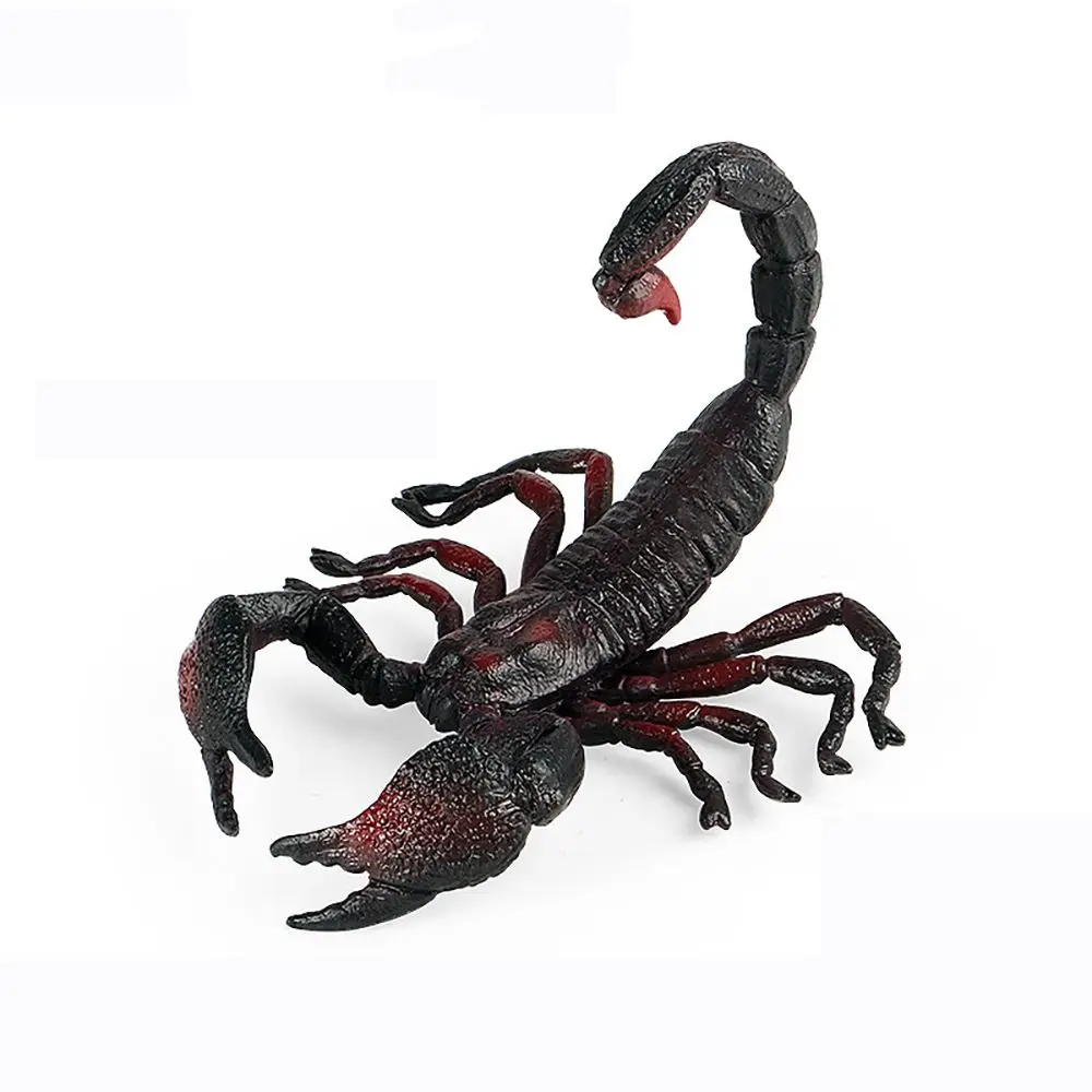 ของขวัญการศึกษาของเล่น Prank Props วิทยาศาสตร์ธรรมชาติรุ่น Scorpion ฮาโลวีนแมลง Figurine เด็กความรู้ความเข้าใจ