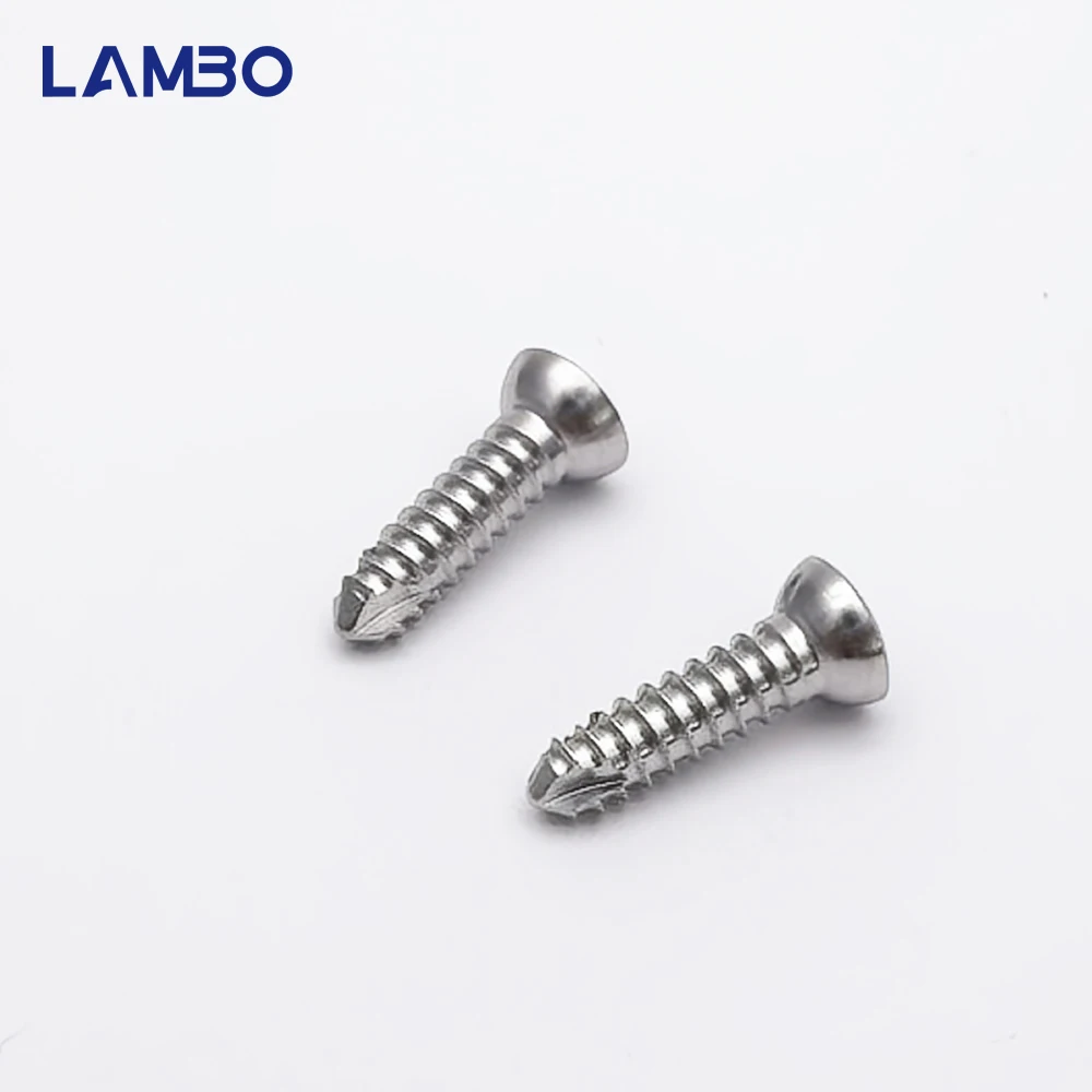 10개 수의학용 3.5mm SS 셀프 태핑 육각형 피질 나사 수의 정형외과 임플란트 수술기구 애완동물 제품