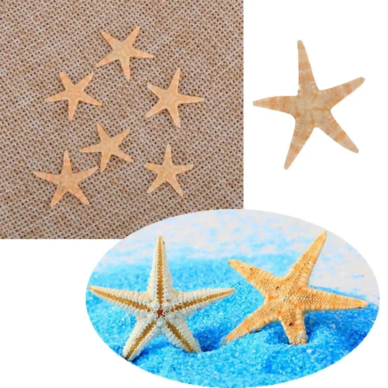 5/25/50 Uds Mini concha de estrella de mar decoración artesanal estrellas de mar DIY cabaña de playa decoración de boda conchas de mar fiesta concha