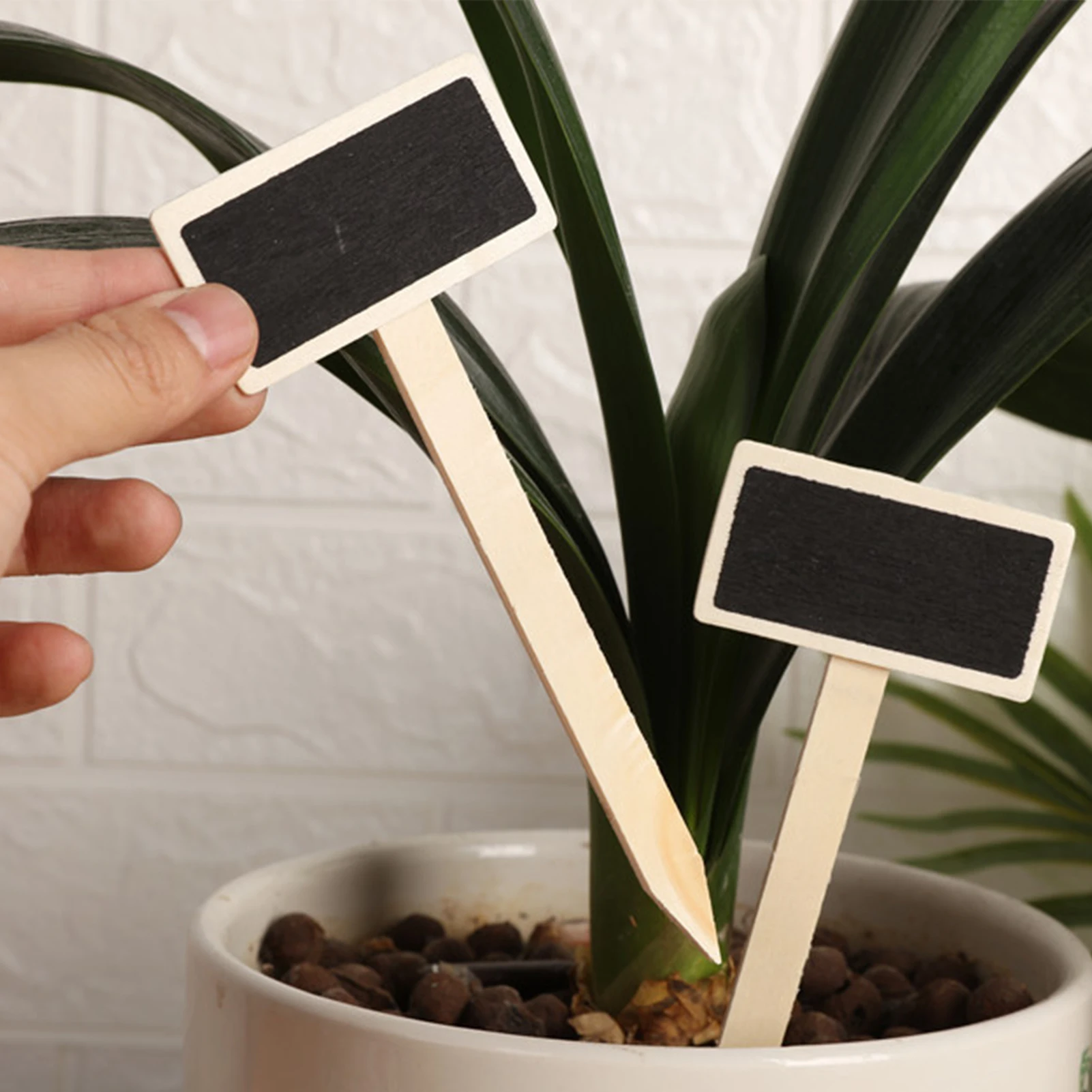 

20 шт. Т-образные деревянные этикетки для растений, детские садовые этикетки для растений, мини-этикетки для растений, маркеры для домашнего сада