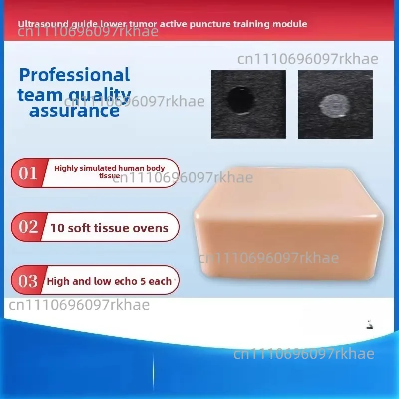 125×95×45mm Ultrasound Puncture Model Tumor Biopsy Training Module