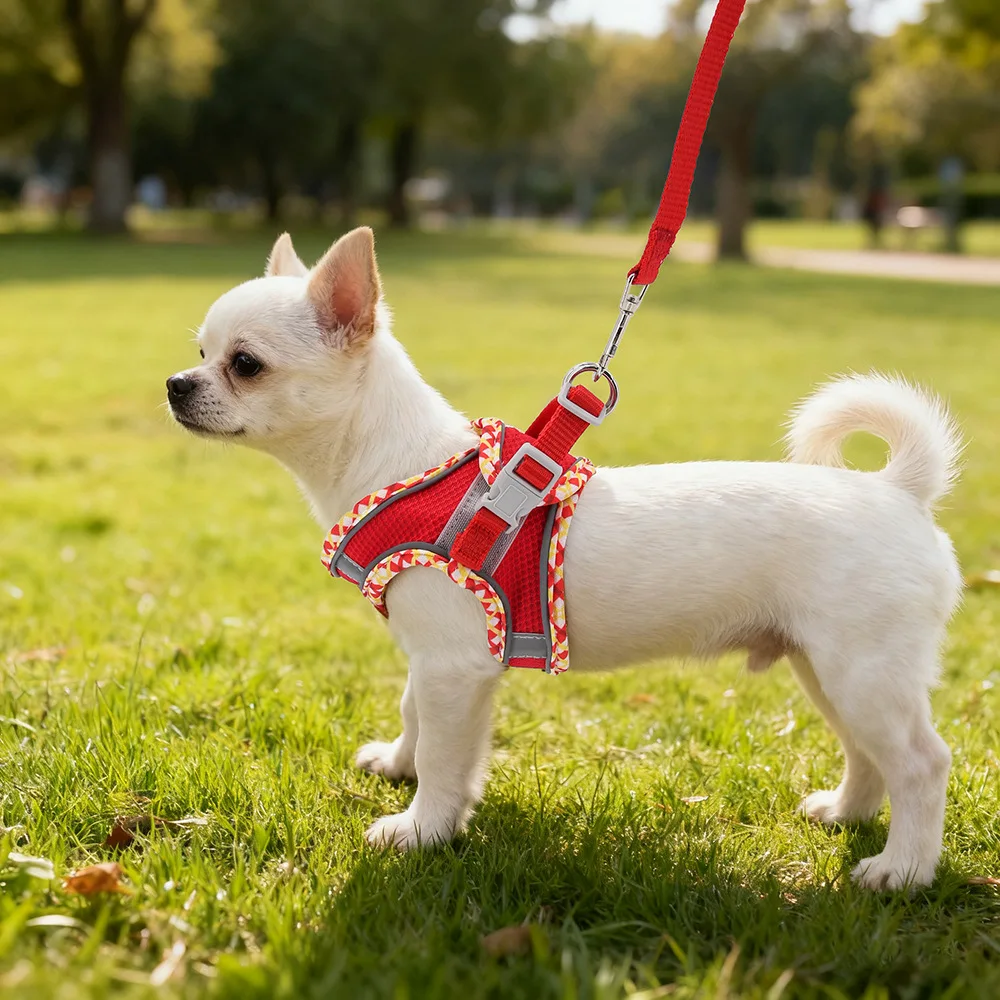 Thumbnail 3 - #84 Best Puppy Harnesses to Buy In 2026