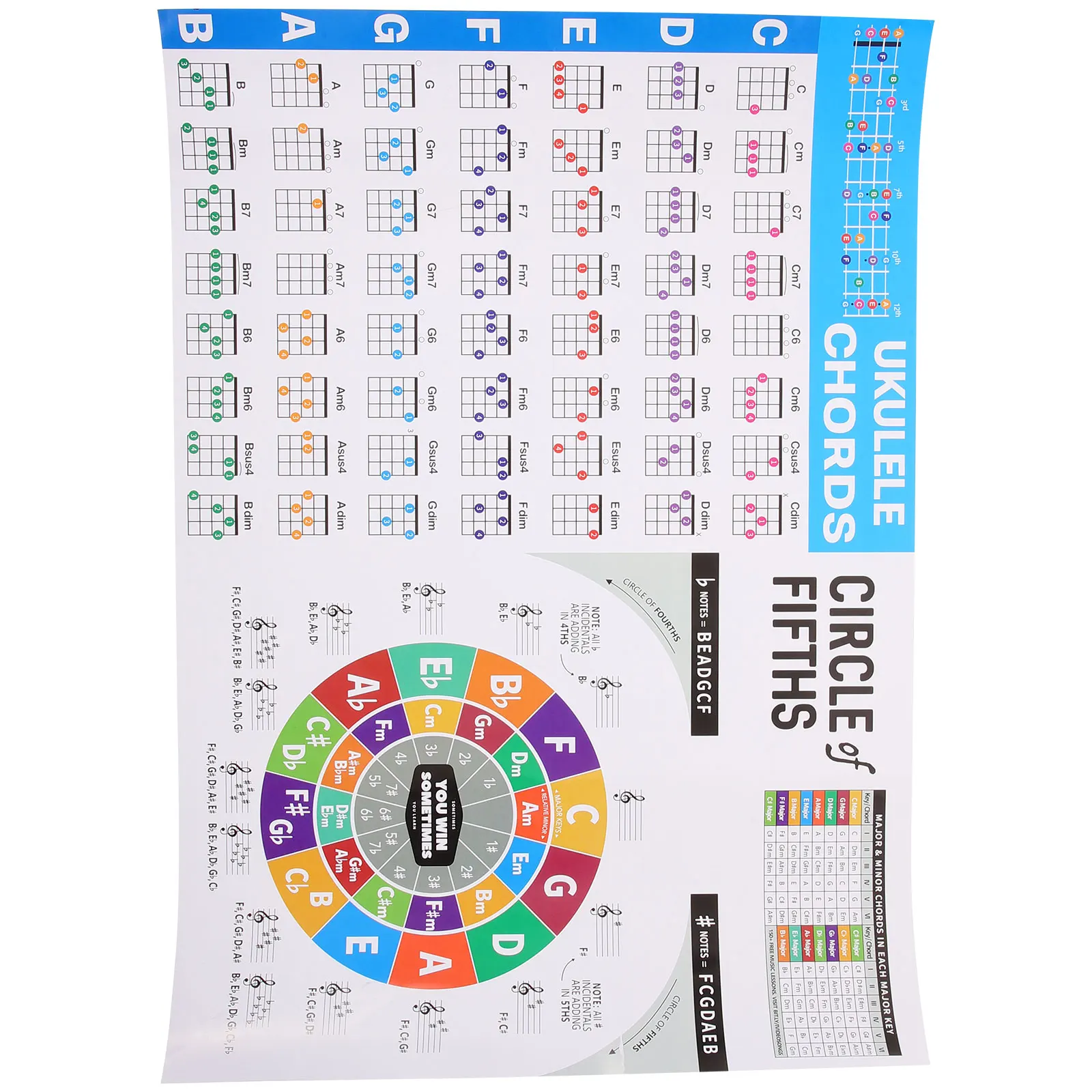 

Ukulele Chord Large Size Coated Paper Music Theory Poster for Chord Poster For Ukulele Beginner Beginner String Instrument