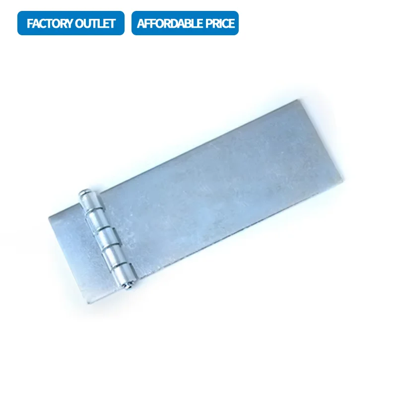 

Non Porous Welded Hinges Made Of Stainless Steel Or Iron With Long Pivot Folding And Control Cabinet Hardware Accessories