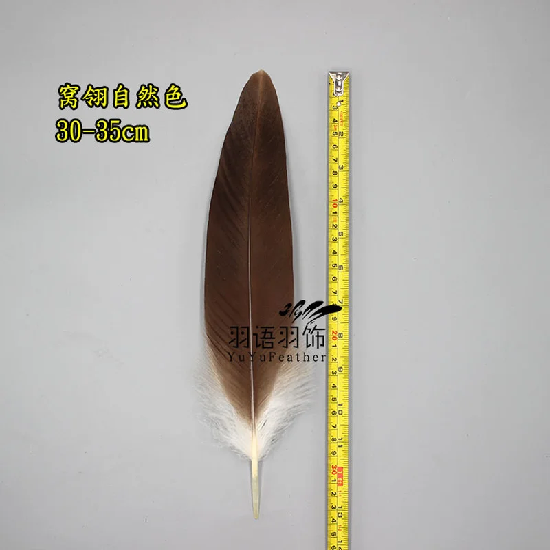 Rare Eagle Feather Natural Rare Horse Eagle Feather Household Flower Arrangement Decorative Feather Home Dec