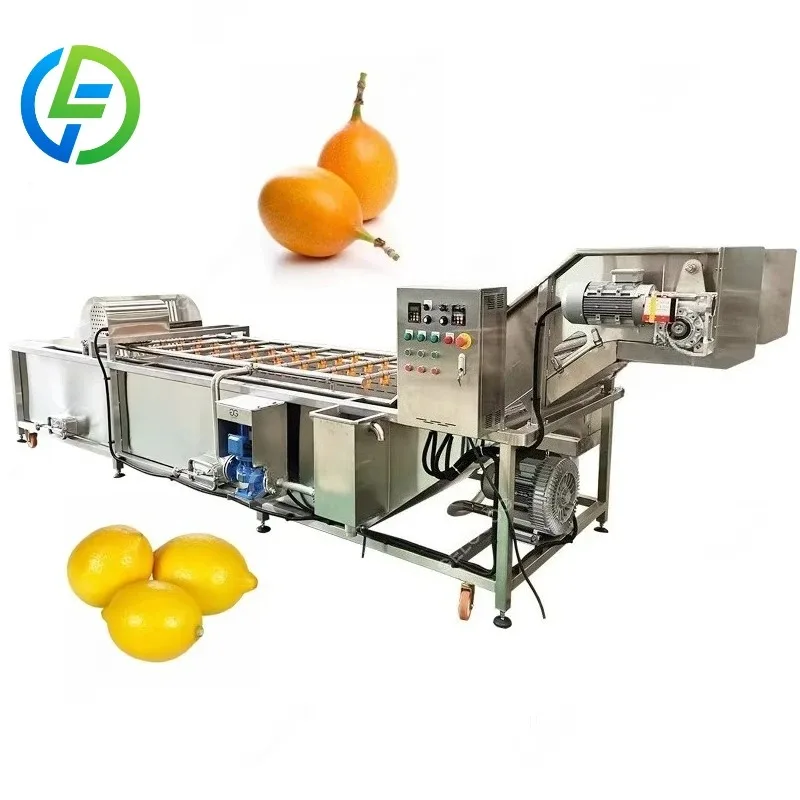 Customized Baby Food Fruit Washer Elevator Salad or Vegetable Washing and Cleaning Machine with Ozone - view 6