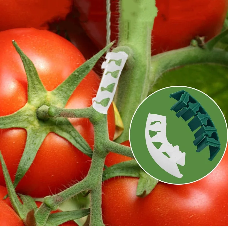 10/50/100pcs Plant Bender Plastic Tomato Fruit Stem Clip for Securing Fruit Clusters, Anti-Bending Branch Support and Seedling