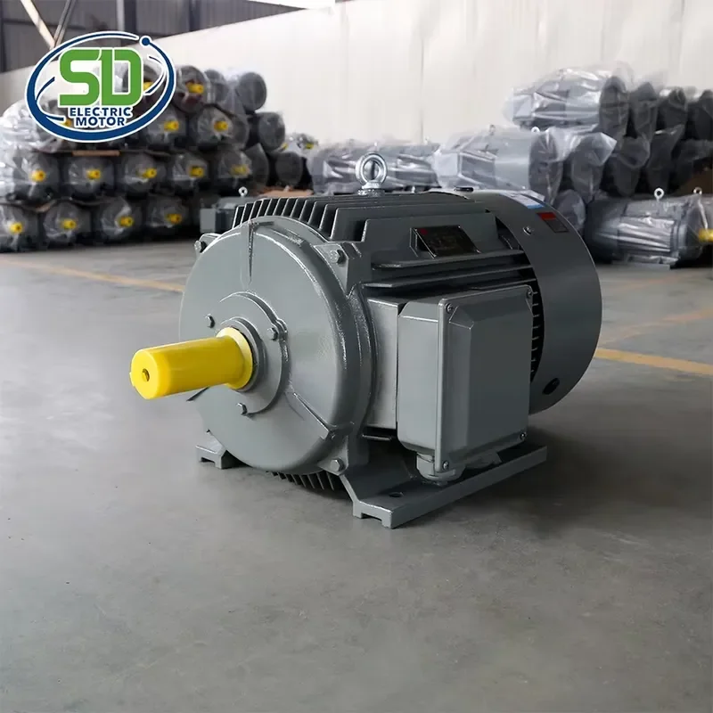 IE2 250M 2 Pole Ac Induction Asynchronous Motor 3000rpm 60kw 3 Phase 80 Electric Motor