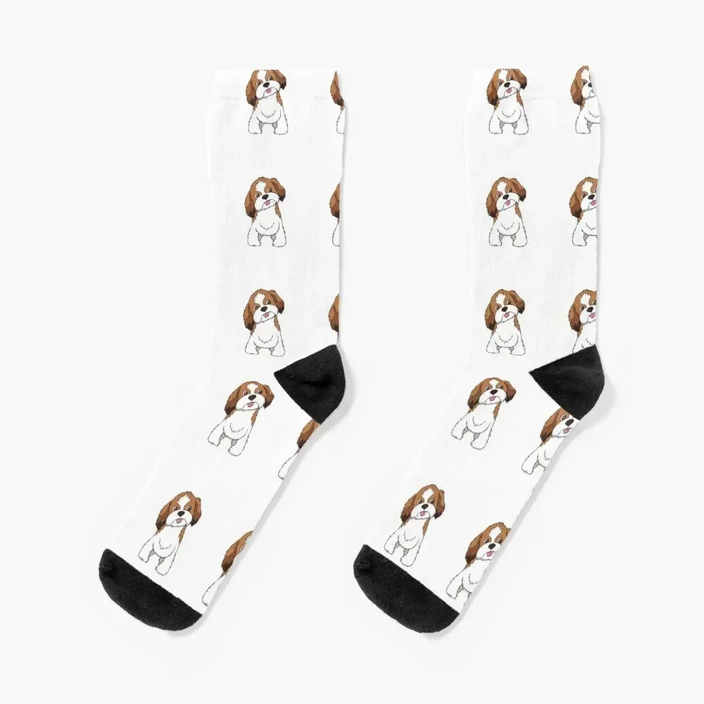 

Shih Tzu Socks Climbing FASHION Children's Socks Women's Men's