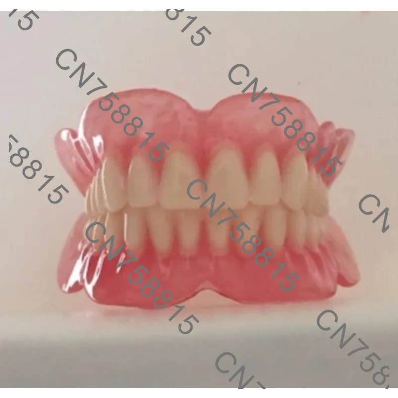 Models of the elderly full and half teeth. Batch sample models of full dentures are available